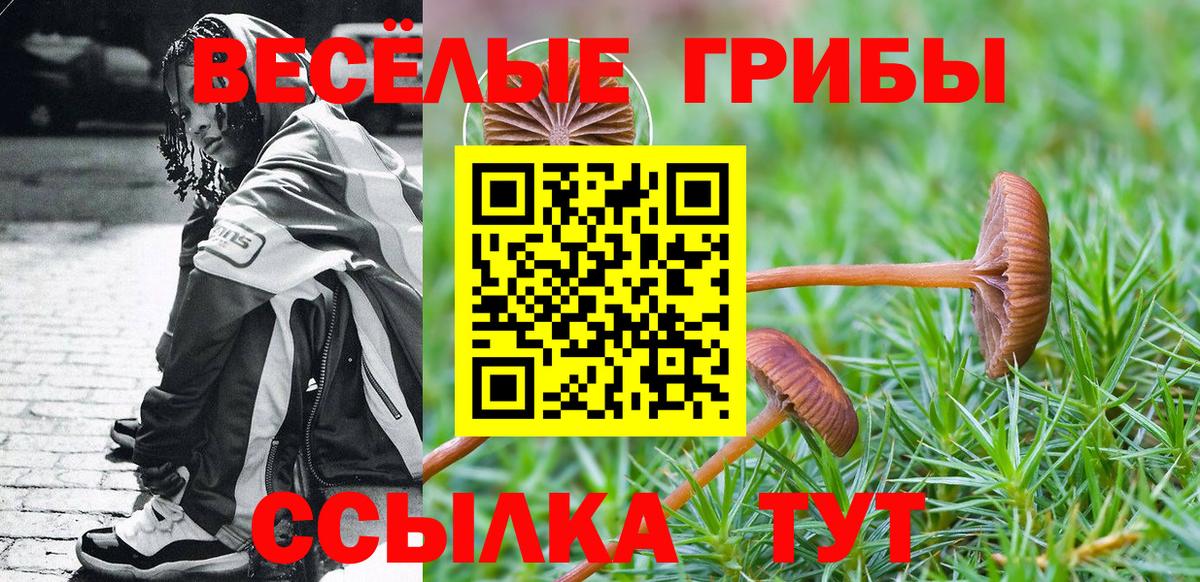 Галлюциногенные грибы Magic Shrooms Екатеринбург