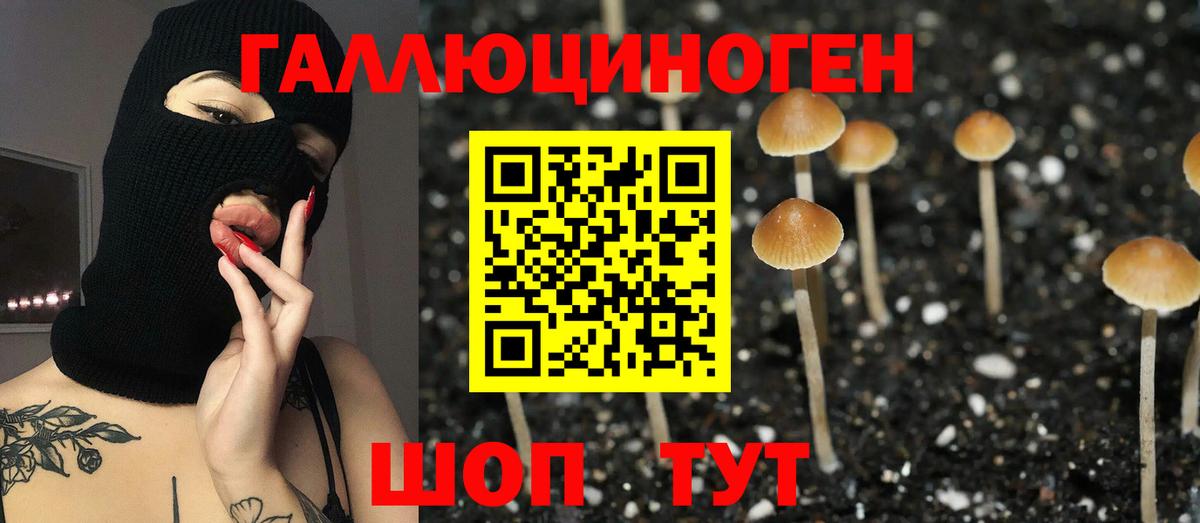 Псилоцибиновые грибы ЛСД  Галлюциногенные грибы Psilocybe  где купить наркоту  Вход с VPN  Екатеринбург 